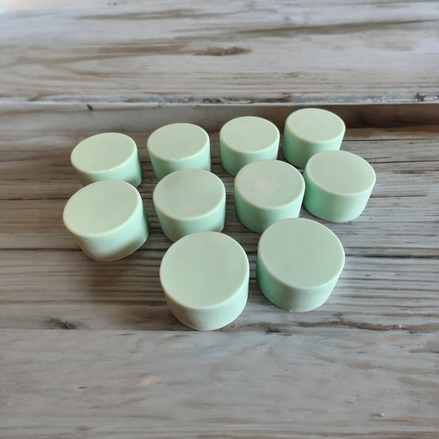 Shampoo Vegan Bars Wholesale x10