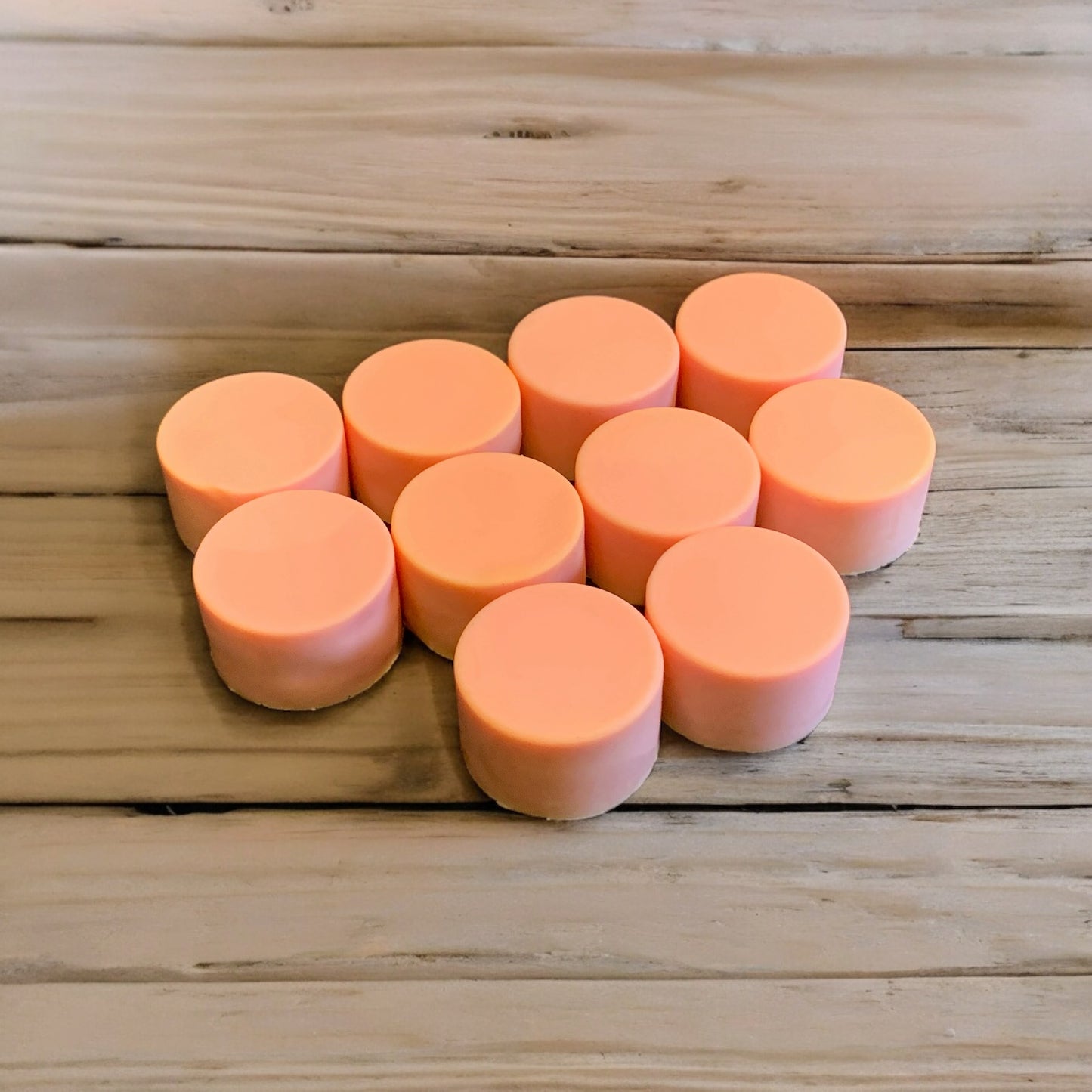Shampoo Vegan Bars Wholesale x10