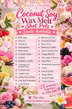 Coconut Soy Wax Melt Shots x10