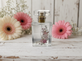 Chloe by Chloe Perfume Spray