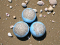 Brighton Beach Bath Bombs x10