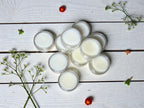 Cold Sore Lip Balm x10