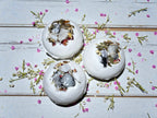 Rainbow Moonstone Crystal Bath Bombs x10
