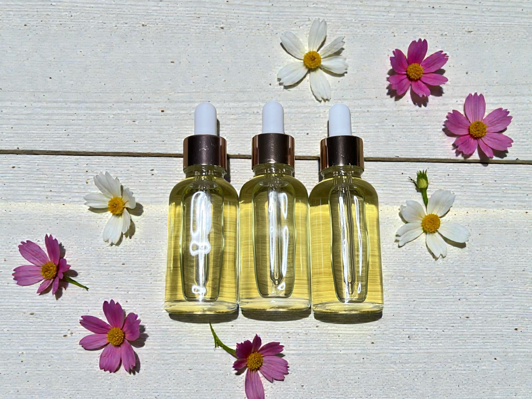 Hemp Seed Face Serum x10