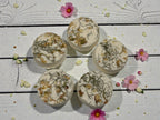 Mini Botanical Indulgent Bath Bombs x10