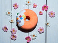 Rainbow Donut Bath Bomb