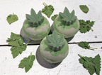 Hemp Bath Bombs x10