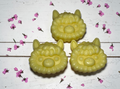 Llama Soap Bars x10