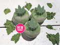 Hemp Bath Bombs x10