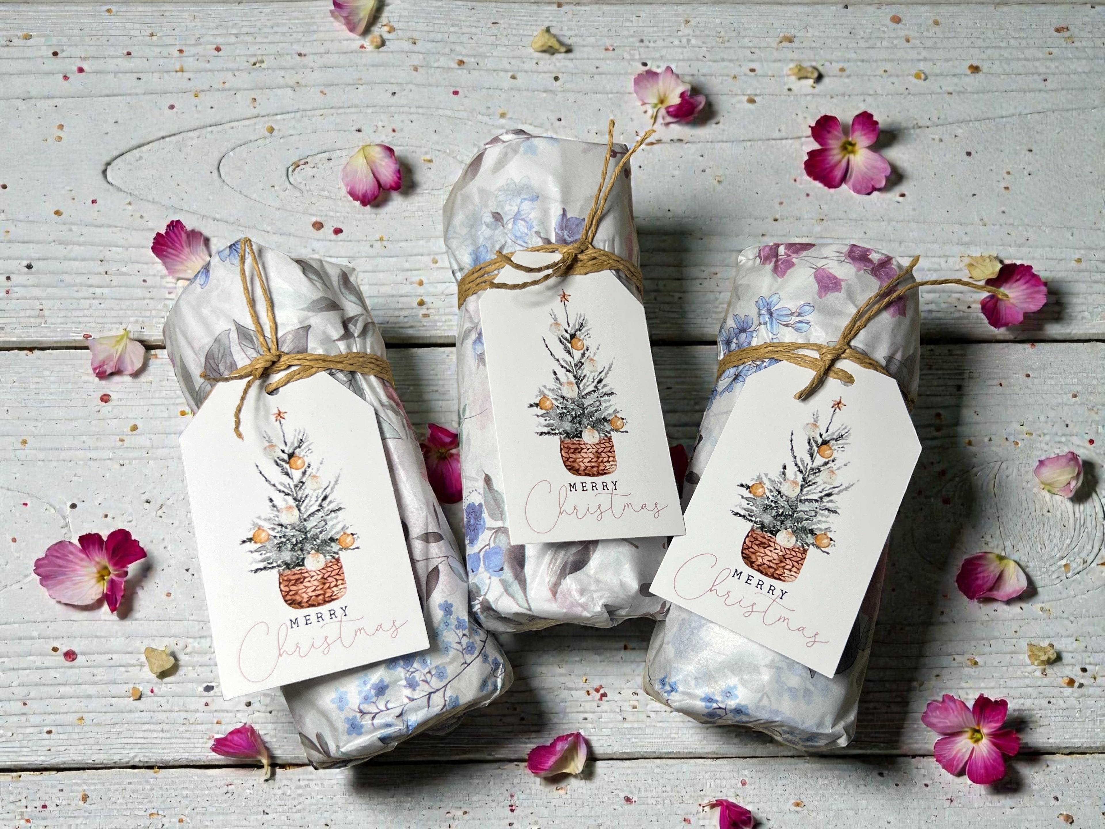 Shower Steamers Gift Set