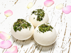 Tranquil Grove Bath Bombs x10