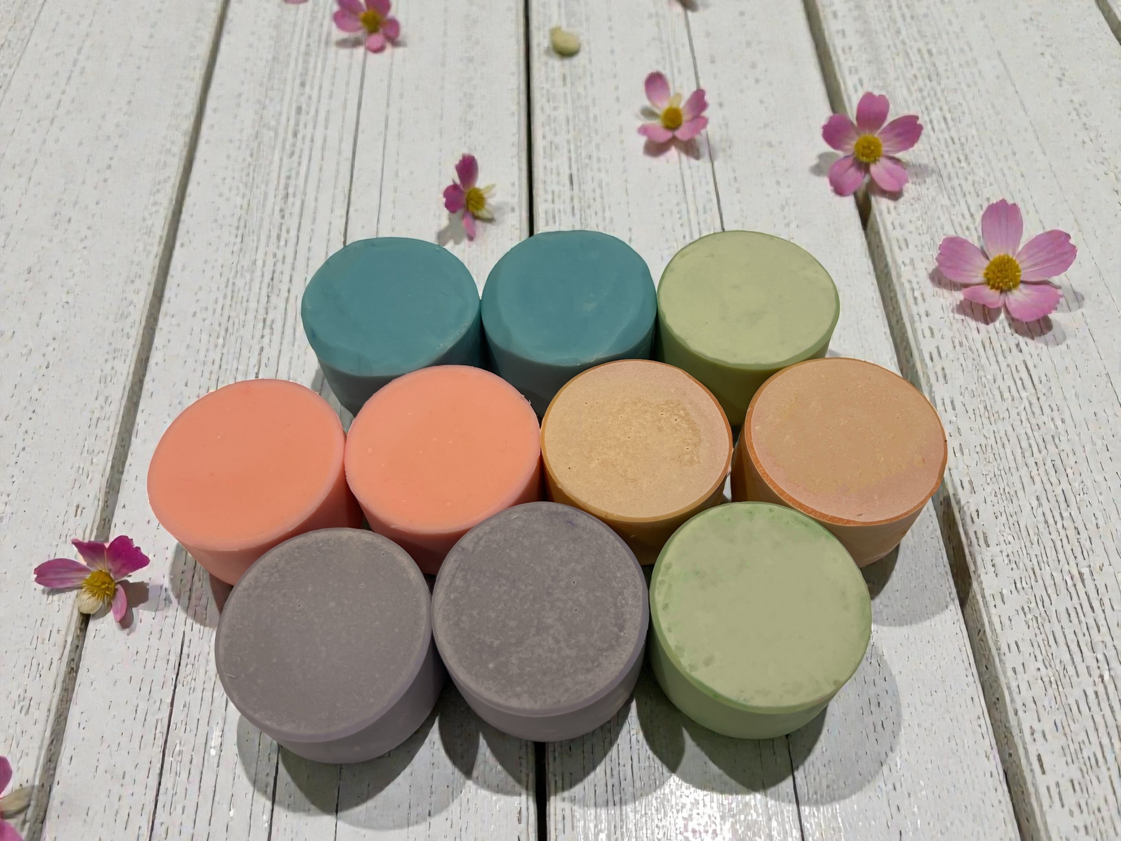 Shampoo Vegan Bars x10 #2