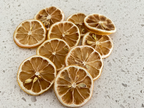 Dehydrated Orange Slices x10